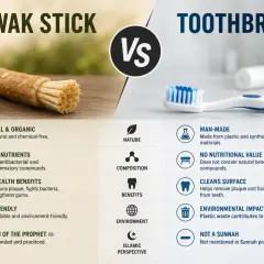 Miswak co to? Naturalny patyczek do zębów kontra szczoteczka. Miswak jest organiczny, bogaty w składniki odżywcze i przyjazny dla środowiska.