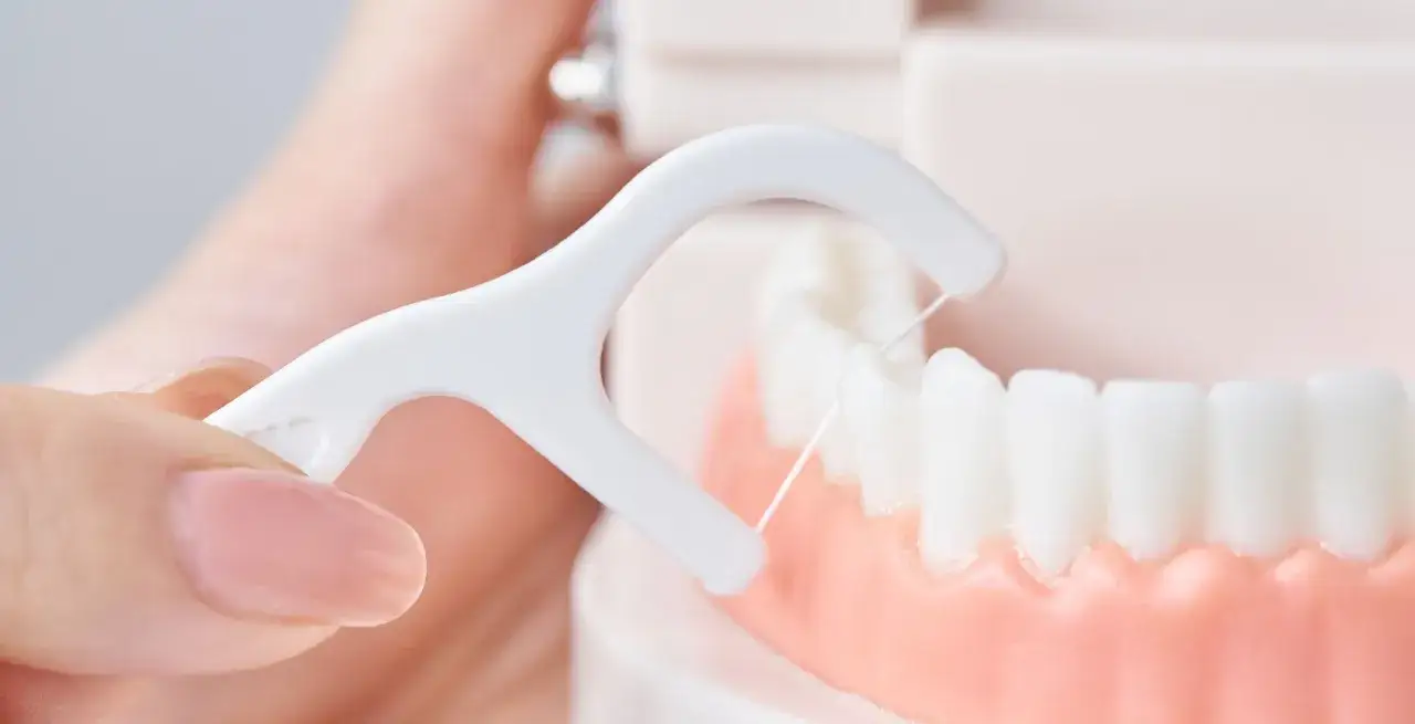 Dłoń trzyma biały uchwyt z nicią dentystyczną, czyszcząc model zębów. Dbanie o higienę jamy ustnej z floss to podstawa.